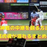 【阪神戦の中継】関西以外で観る全ての方法を阪神ファンがまとめました